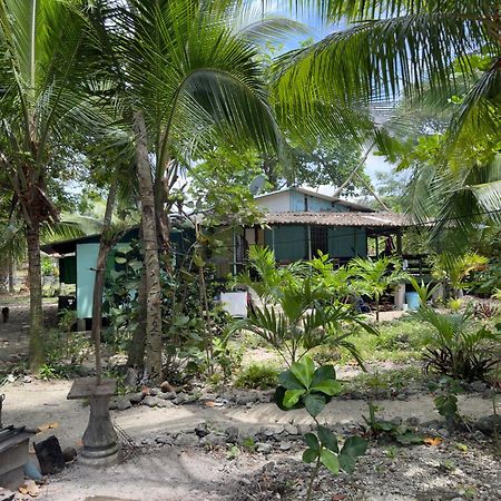 Casa Mamre Hostel Cahuita Kültér fotó