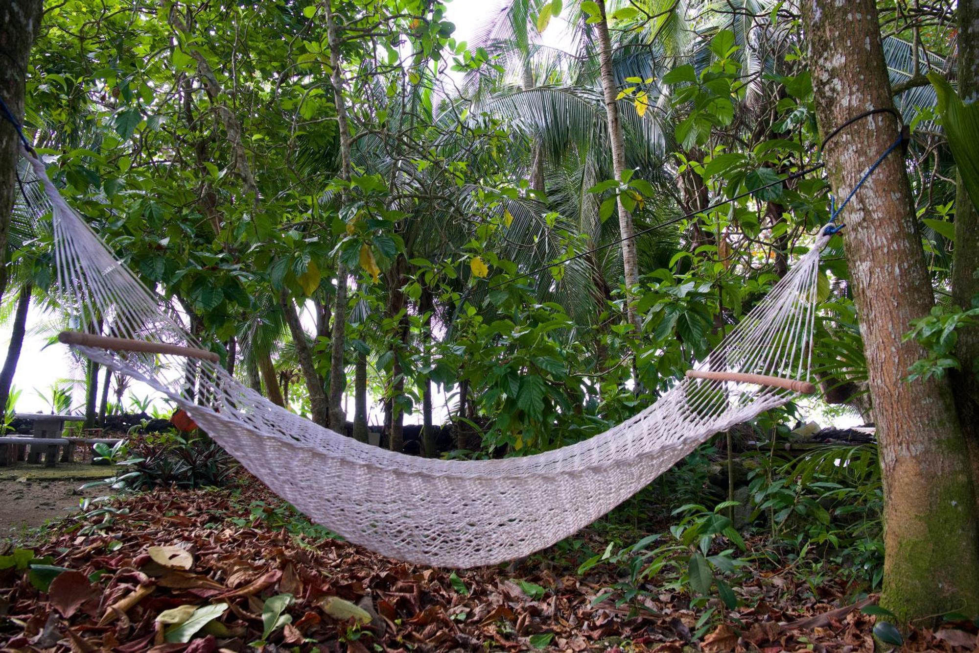 Casa Mamre Hostel Cahuita Kültér fotó