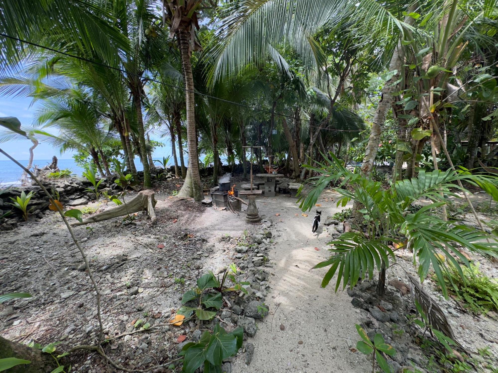 Casa Mamre Hostel Cahuita Kültér fotó