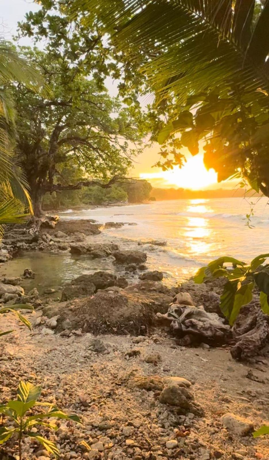 Casa Mamre Hostel Cahuita Kültér fotó