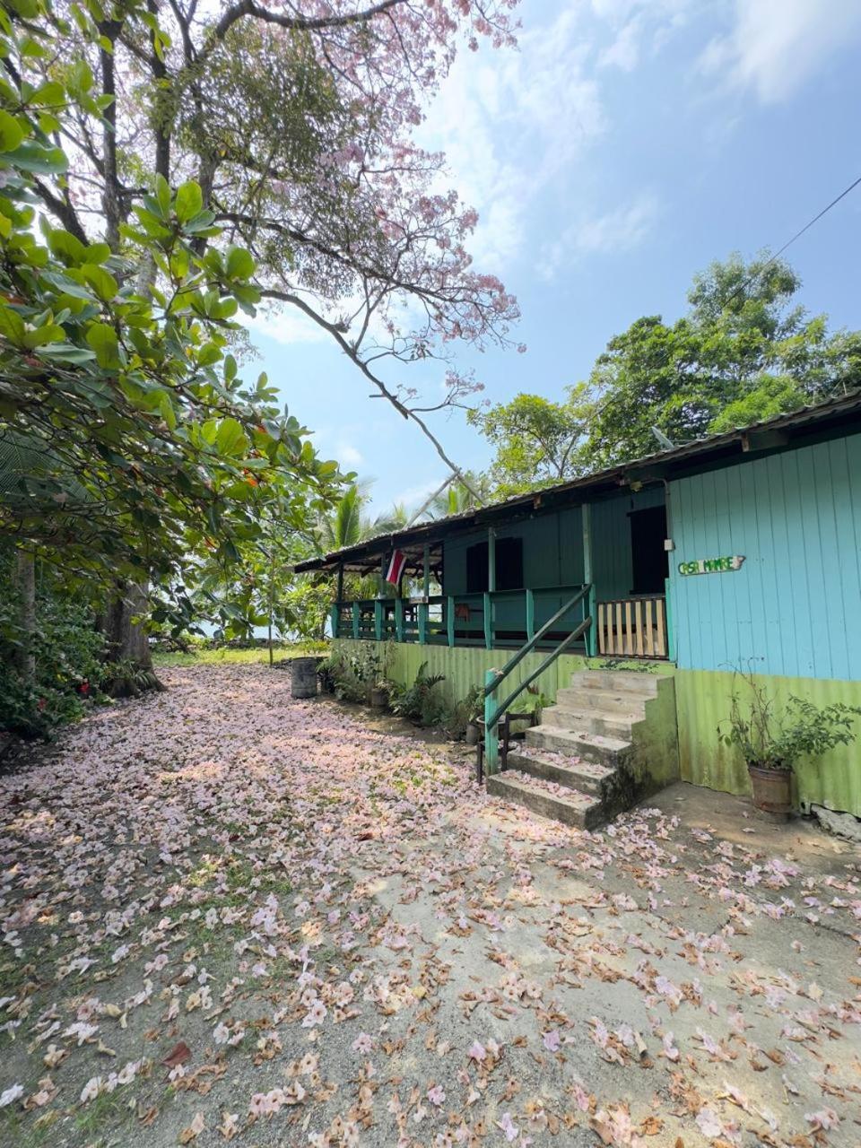 Casa Mamre Hostel Cahuita Kültér fotó